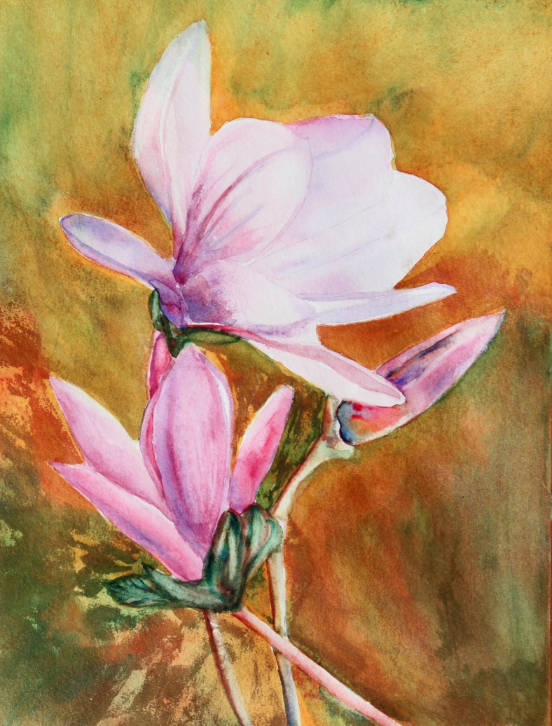 magnolia