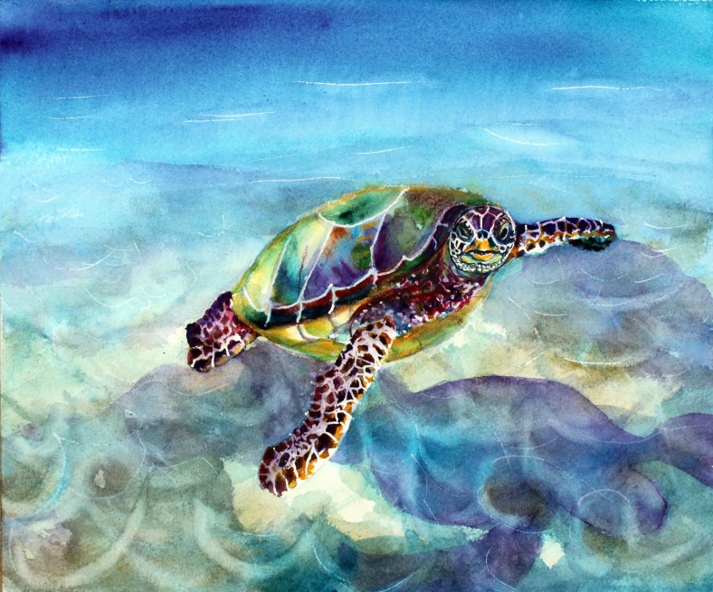 Sea turtle